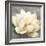 Magnolia Blossom on Gray-Albena Hristova-Framed Art Print