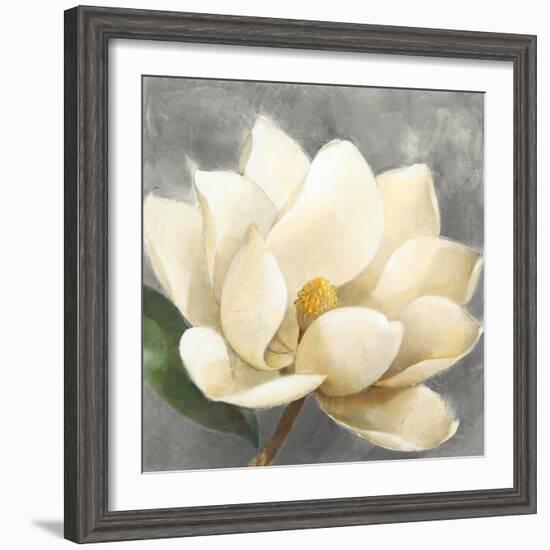 Magnolia Blossom on Gray-Albena Hristova-Framed Art Print