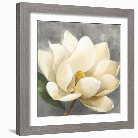 Magnolia Blossom on Gray-Albena Hristova-Framed Art Print