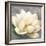 Magnolia Blossom on Gray-Albena Hristova-Framed Art Print