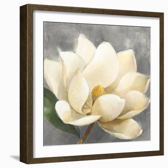 Magnolia Blossom on Gray-Albena Hristova-Framed Art Print