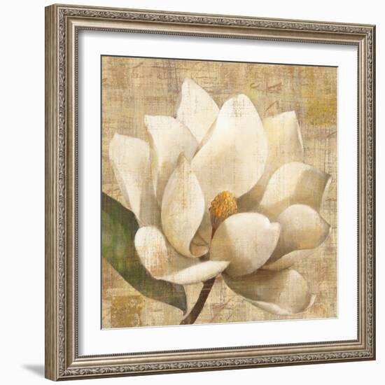 Magnolia Blossom on Script-Albena Hristova-Framed Art Print