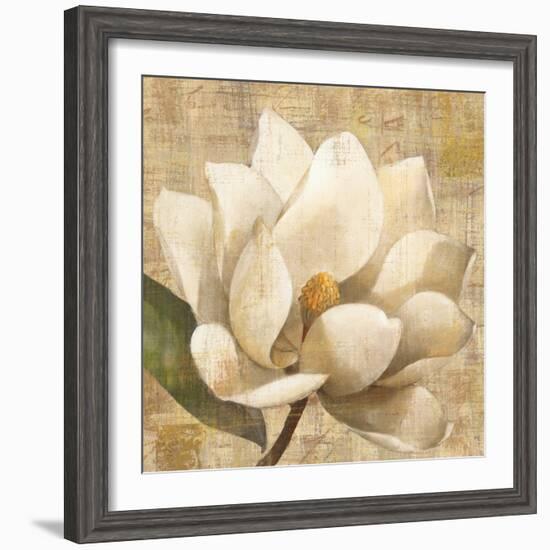 Magnolia Blossom on Script-Albena Hristova-Framed Art Print