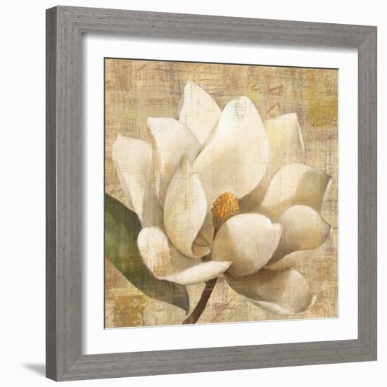 Magnolia Blossom on Script-Albena Hristova-Framed Art Print