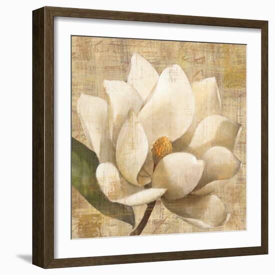 Magnolia Blossom on Script-Albena Hristova-Framed Art Print