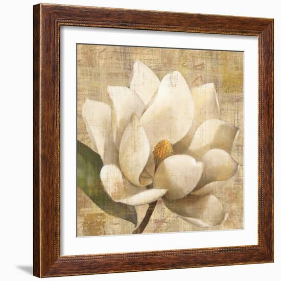 Magnolia Blossom on Script-Albena Hristova-Framed Art Print