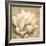 Magnolia Blossom on Script-Albena Hristova-Framed Art Print