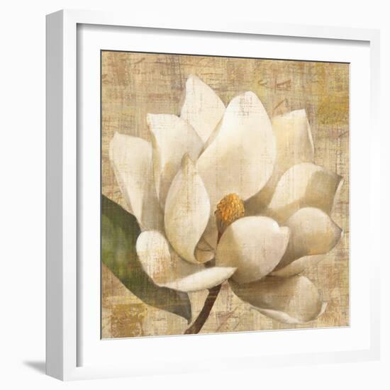 Magnolia Blossom on Script-Albena Hristova-Framed Art Print