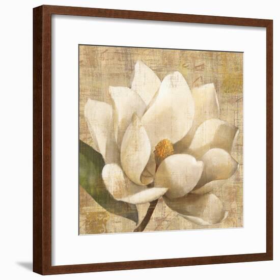 Magnolia Blossom on Script-Albena Hristova-Framed Art Print