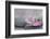 Magnolia Blossom on Stone, Pink-Andrea Haase-Framed Photographic Print