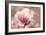 Magnolia Blossom-Jessica Jenney-Framed Photographic Print