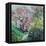 Magnolia Blossom-Sylvia Paul-Framed Premier Image Canvas