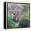 Magnolia Blossom-Sylvia Paul-Framed Premier Image Canvas