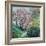 Magnolia Blossom-Sylvia Paul-Framed Giclee Print