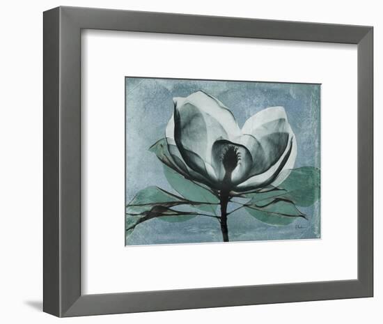 Magnolia Blues 1-Albert Koetsier-Framed Art Print