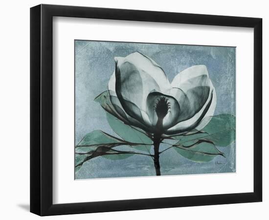 Magnolia Blues 1-Albert Koetsier-Framed Art Print