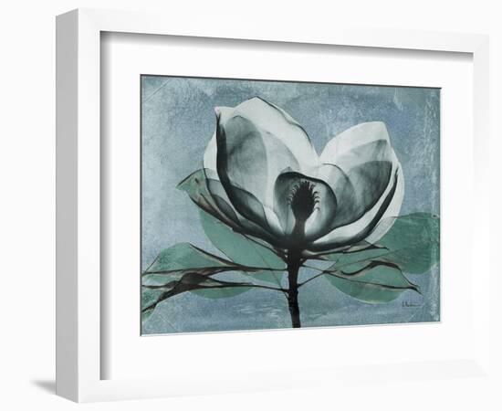 Magnolia Blues 1-Albert Koetsier-Framed Art Print