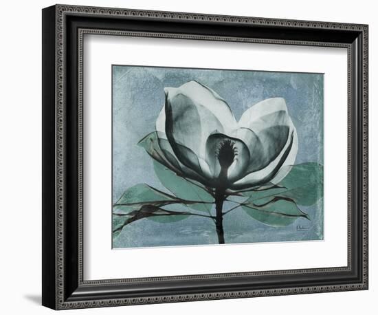 Magnolia Blues 1-Albert Koetsier-Framed Art Print