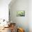 Magnolia Branch II-Avril Anouilh-Mounted Art Print displayed on a wall