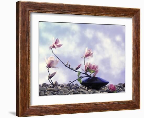 Magnolia Branch in Vase-Roland Krieg-Framed Photographic Print