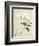 Magnolia, c.1800-40-null-Framed Giclee Print