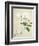 Magnolia, c.1800-40-null-Framed Giclee Print