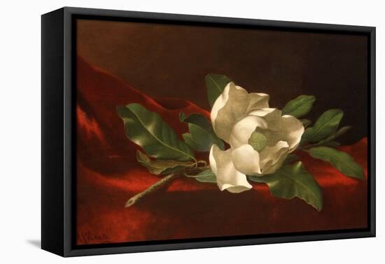 Magnolia, C.1885-95-Martin Johnson Heade-Framed Premier Image Canvas