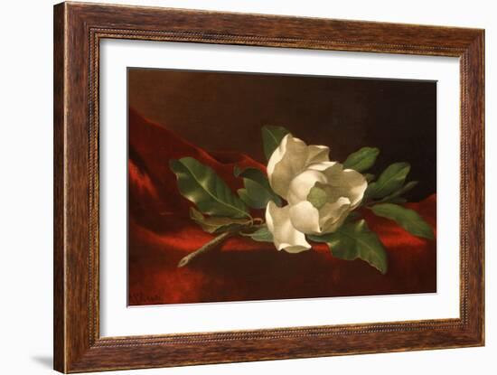 Magnolia, C.1885-95-Martin Johnson Heade-Framed Giclee Print