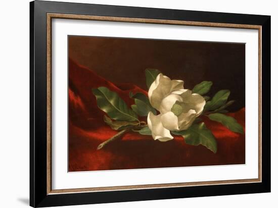 Magnolia, C.1885-95-Martin Johnson Heade-Framed Giclee Print