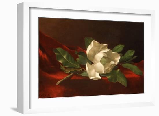 Magnolia, C.1885-95-Martin Johnson Heade-Framed Giclee Print