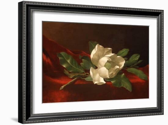 Magnolia, C.1885-95-Martin Johnson Heade-Framed Giclee Print