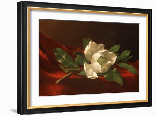 Magnolia, C.1885-95-Martin Johnson Heade-Framed Giclee Print