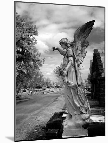 Magnolia Cemetery, Mobile, Alabama-Carol Highsmith-Mounted Art Print