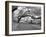 Magnolia Cemetery-Carol Highsmith-Framed Photo