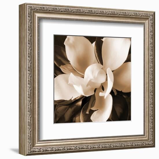 Magnolia Close Up I-Christine Zalewski-Framed Art Print