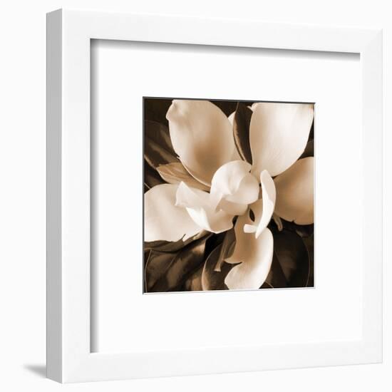 Magnolia Close Up I-Christine Zalewski-Framed Art Print