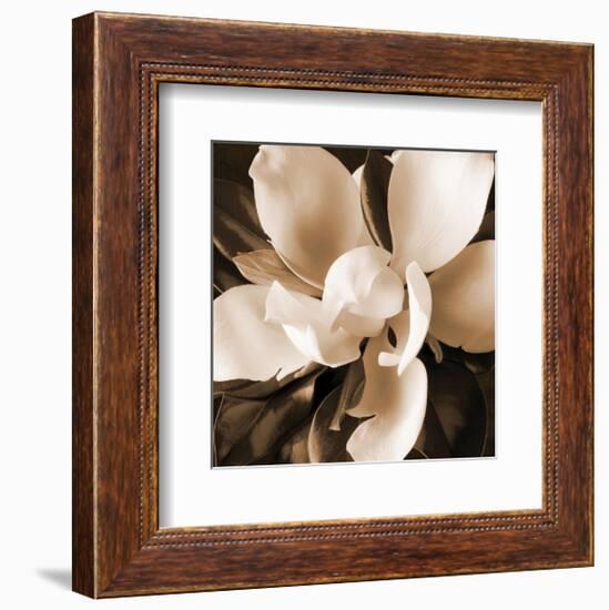 Magnolia Close Up I-Christine Zalewski-Framed Art Print