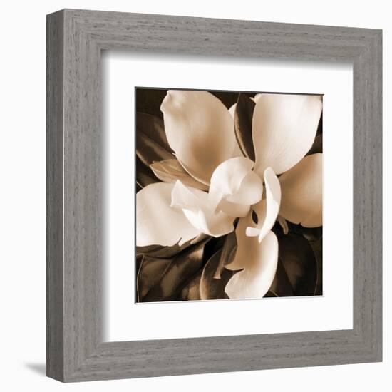 Magnolia Close Up I-Christine Zalewski-Framed Art Print