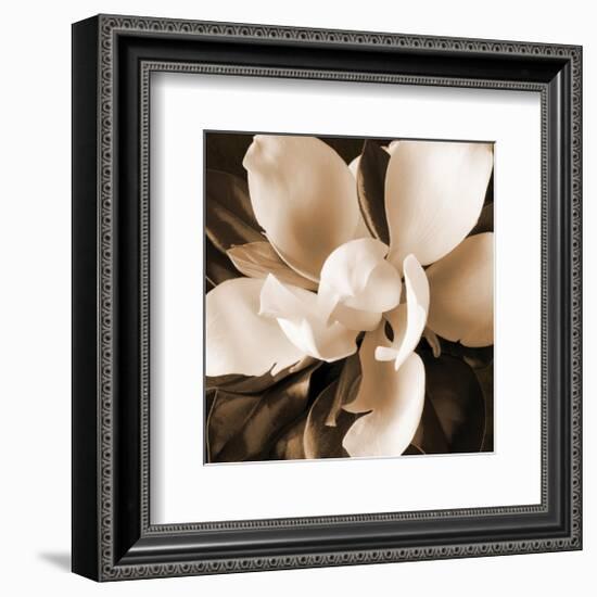 Magnolia Close Up I-Christine Zalewski-Framed Art Print