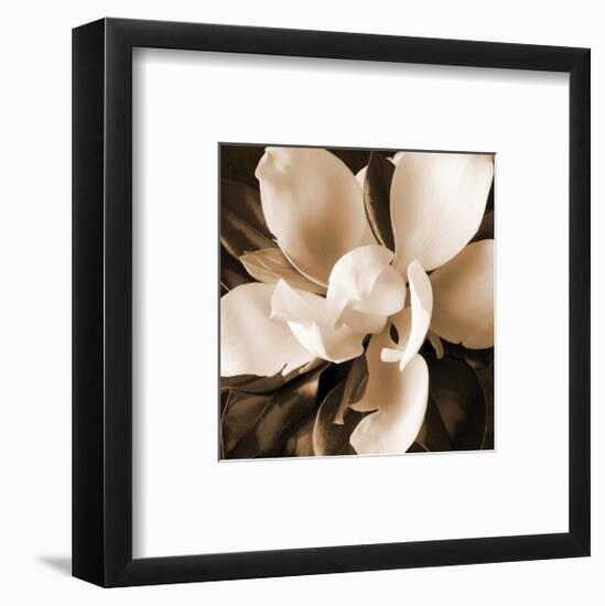 Magnolia Close Up I-Christine Zalewski-Framed Art Print