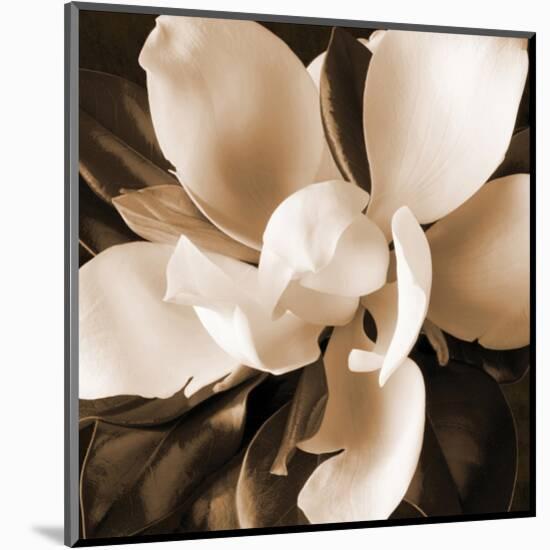 Magnolia Close Up I-Christine Zalewski-Mounted Art Print