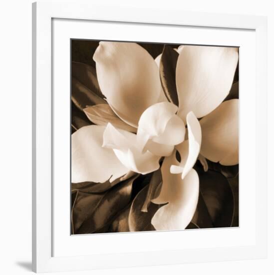 Magnolia Close Up I-Christine Zalewski-Framed Art Print