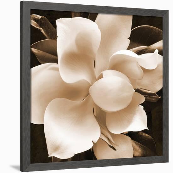 Magnolia Close Up II-Christine Zalewski-Framed Art Print