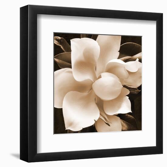 Magnolia Close Up II-Christine Zalewski-Framed Art Print