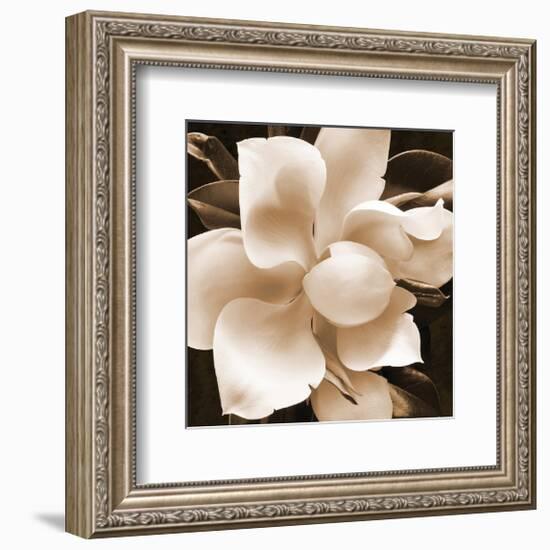 Magnolia Close Up II-Christine Zalewski-Framed Art Print