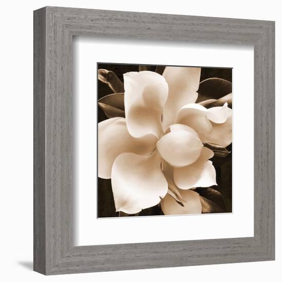 Magnolia Close Up II-Christine Zalewski-Framed Art Print