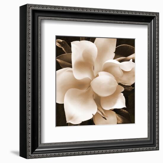 Magnolia Close Up II-Christine Zalewski-Framed Art Print