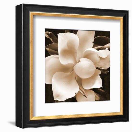 Magnolia Close Up II-Christine Zalewski-Framed Art Print