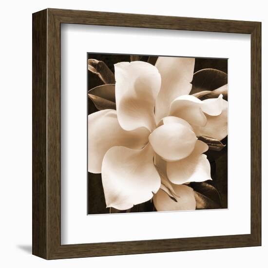 Magnolia Close Up II-Christine Zalewski-Framed Art Print