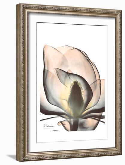 Magnolia Close Up-Albert Koetsier-Framed Art Print